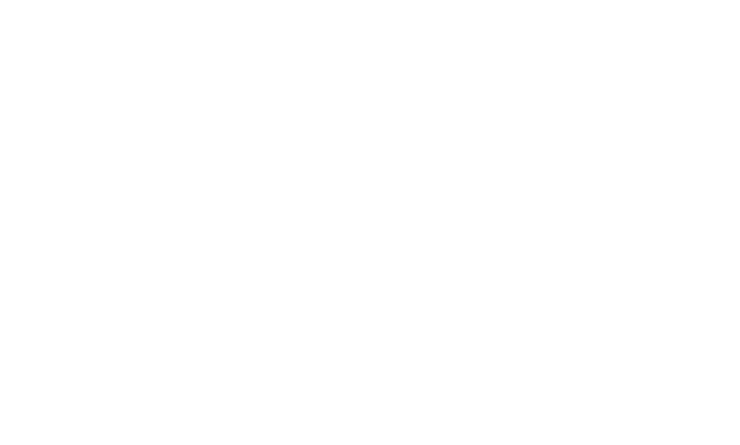 PO7 Security Logo